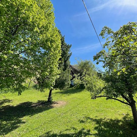 فيلا Ferienhuette Bosic Baierdorf المظهر الخارجي الصورة