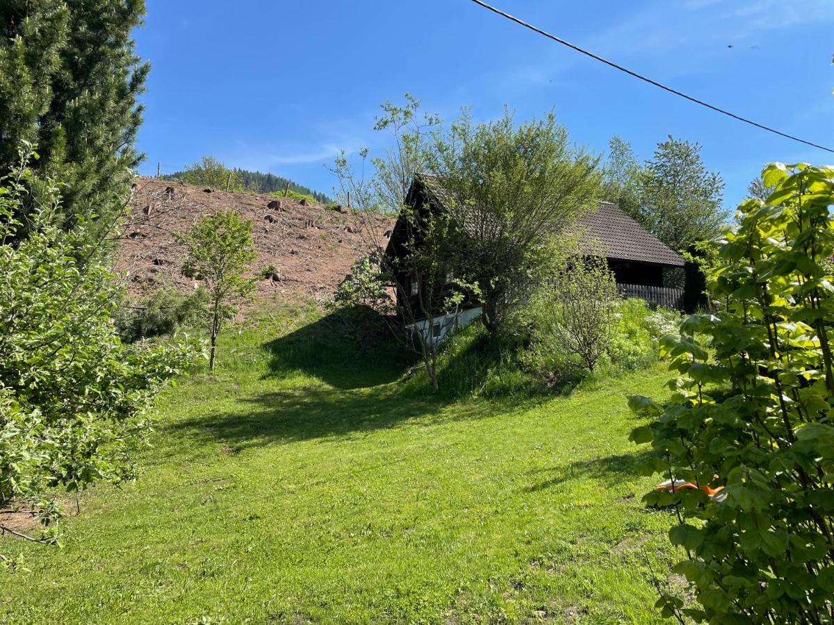فيلا Ferienhuette Bosic Baierdorf المظهر الخارجي الصورة